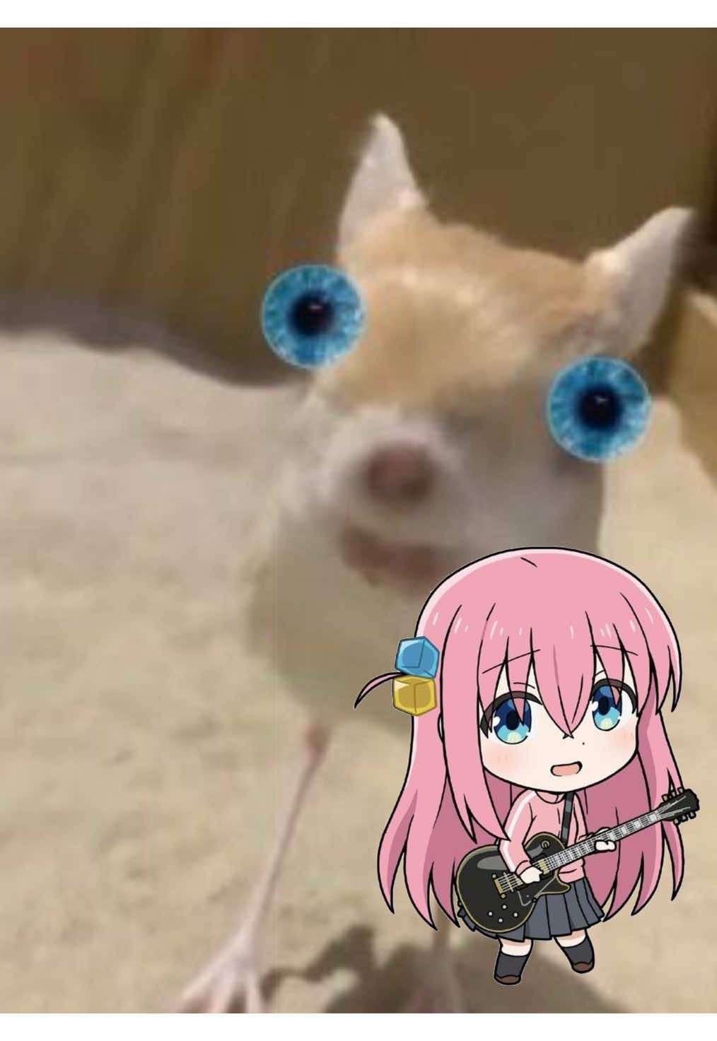 @˚.⋆꒰১ Sabrina ໒꒱⋆.˚