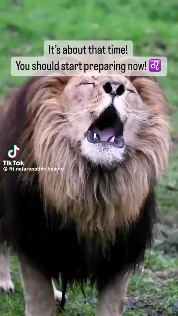 @livelife1983