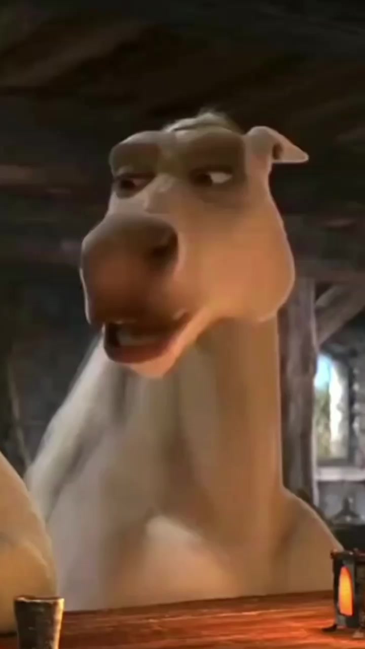 @🤤🥲L&oacute;pez