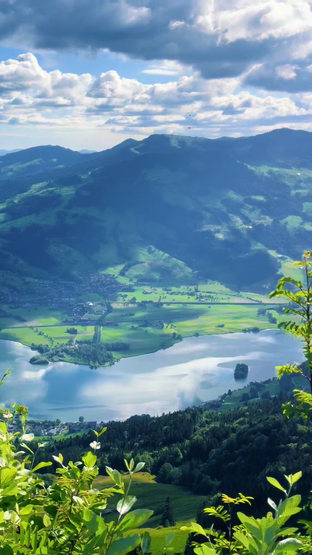 @swiss_alps