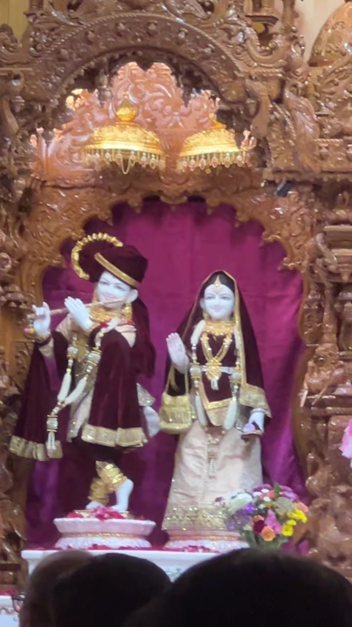 @Bhavika Gor