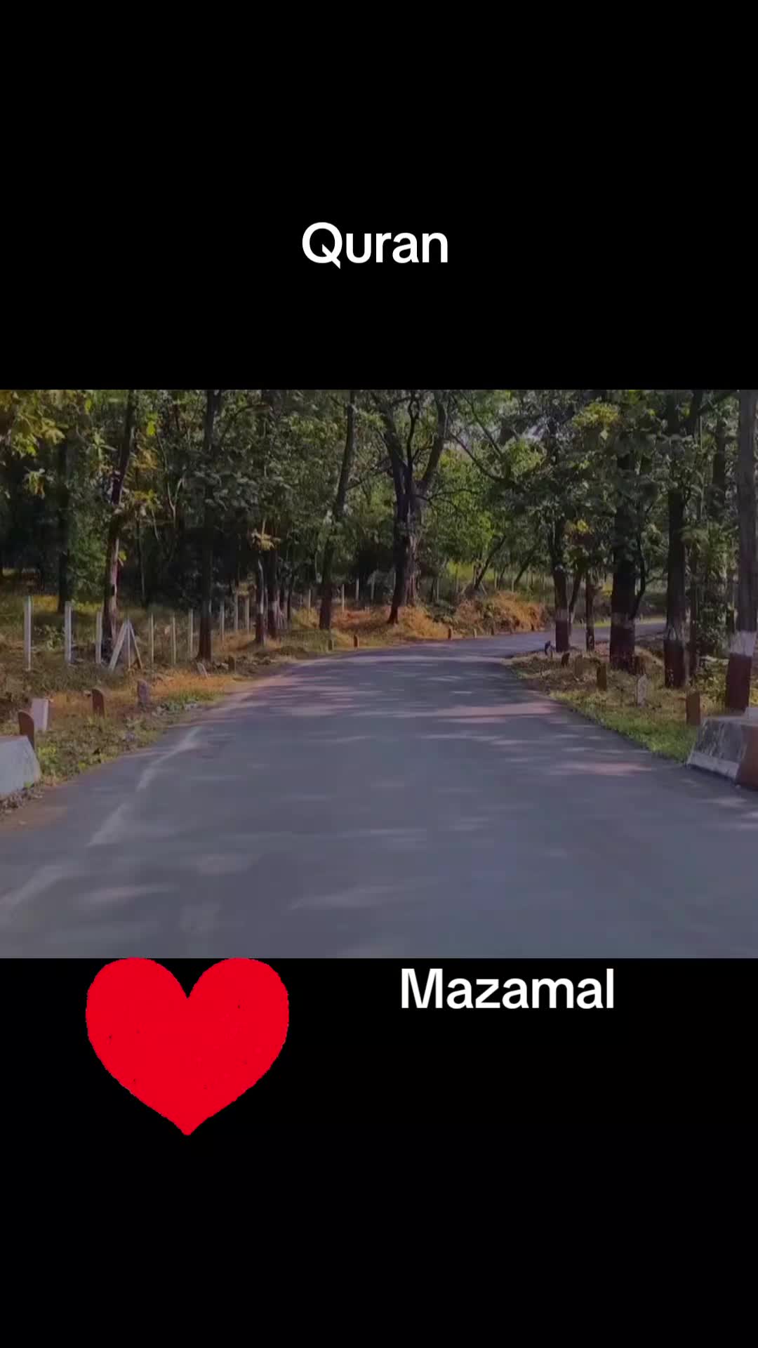 @🍁MAZAMAL804