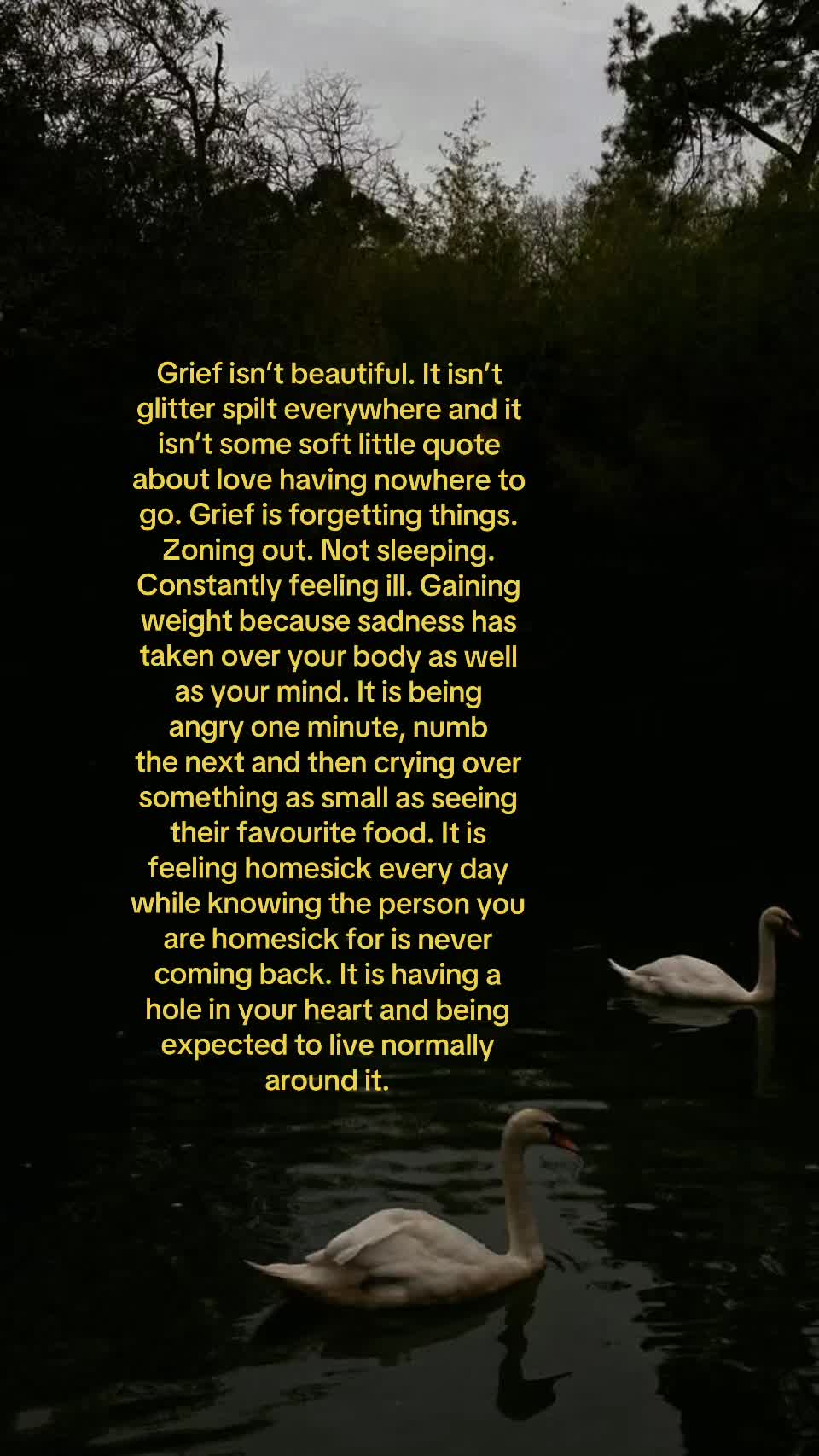 @كايرة ✿
