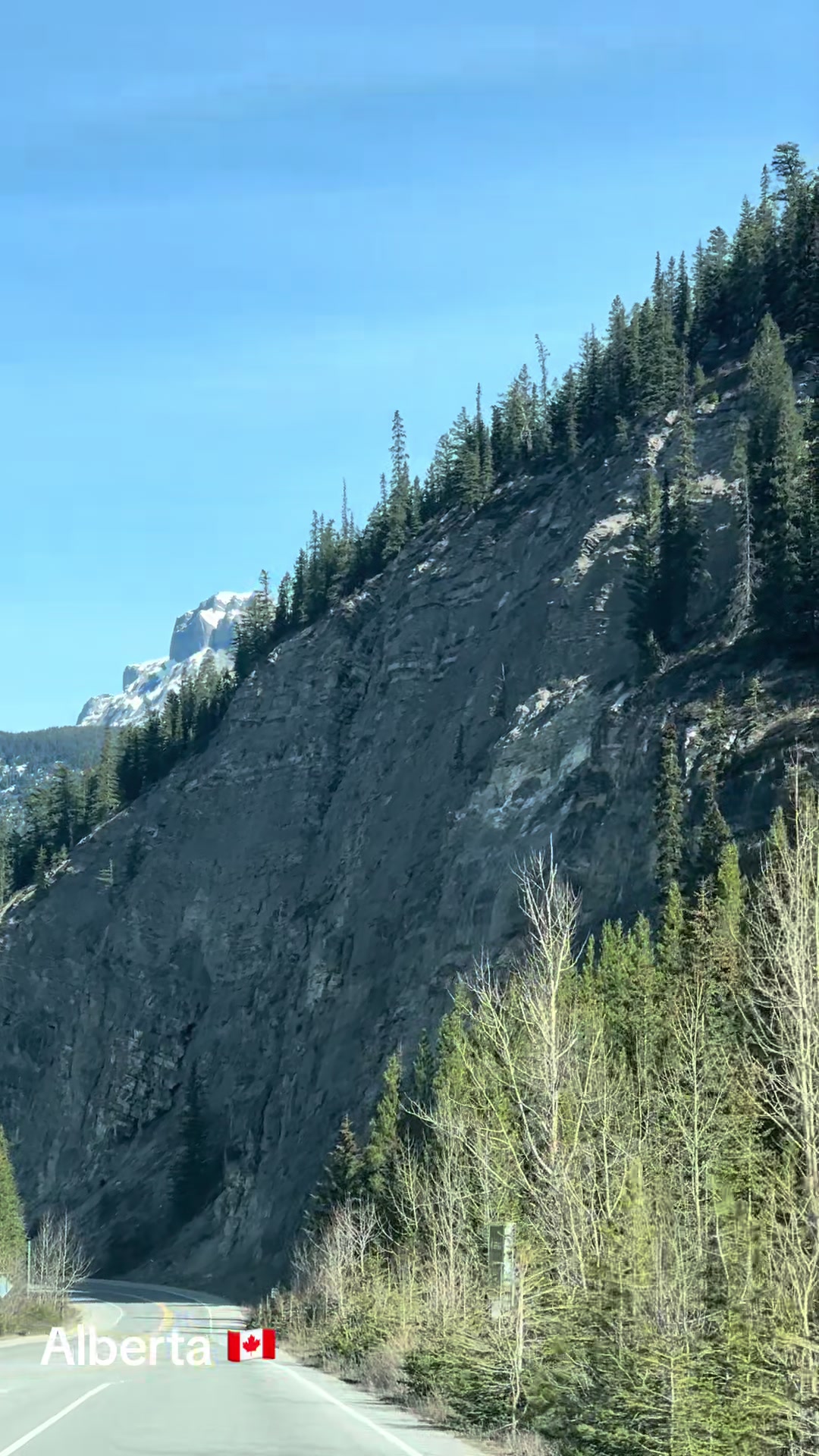 @Ada 🇨🇦