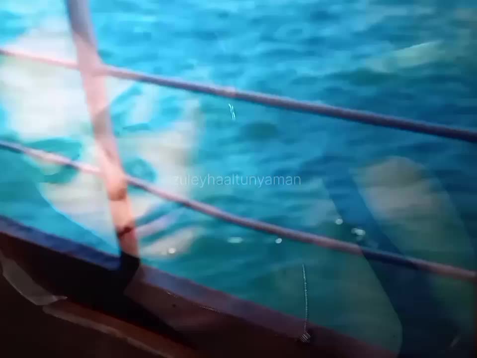 @Hilal Altınbilek