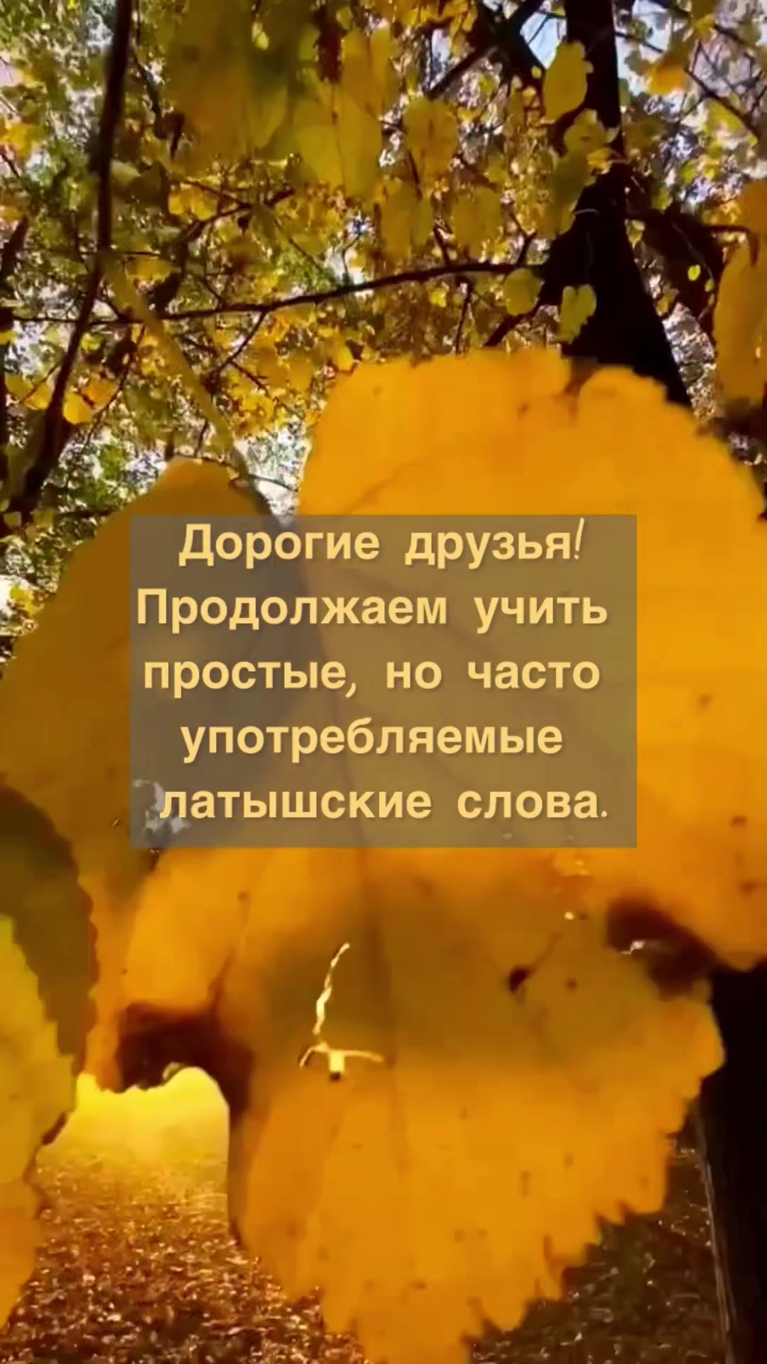 @Tēmas latviešu valodā