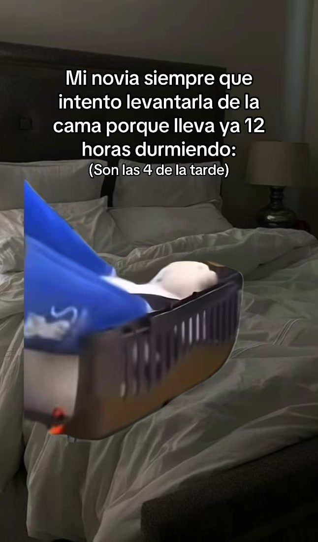 @Joel ⚡️