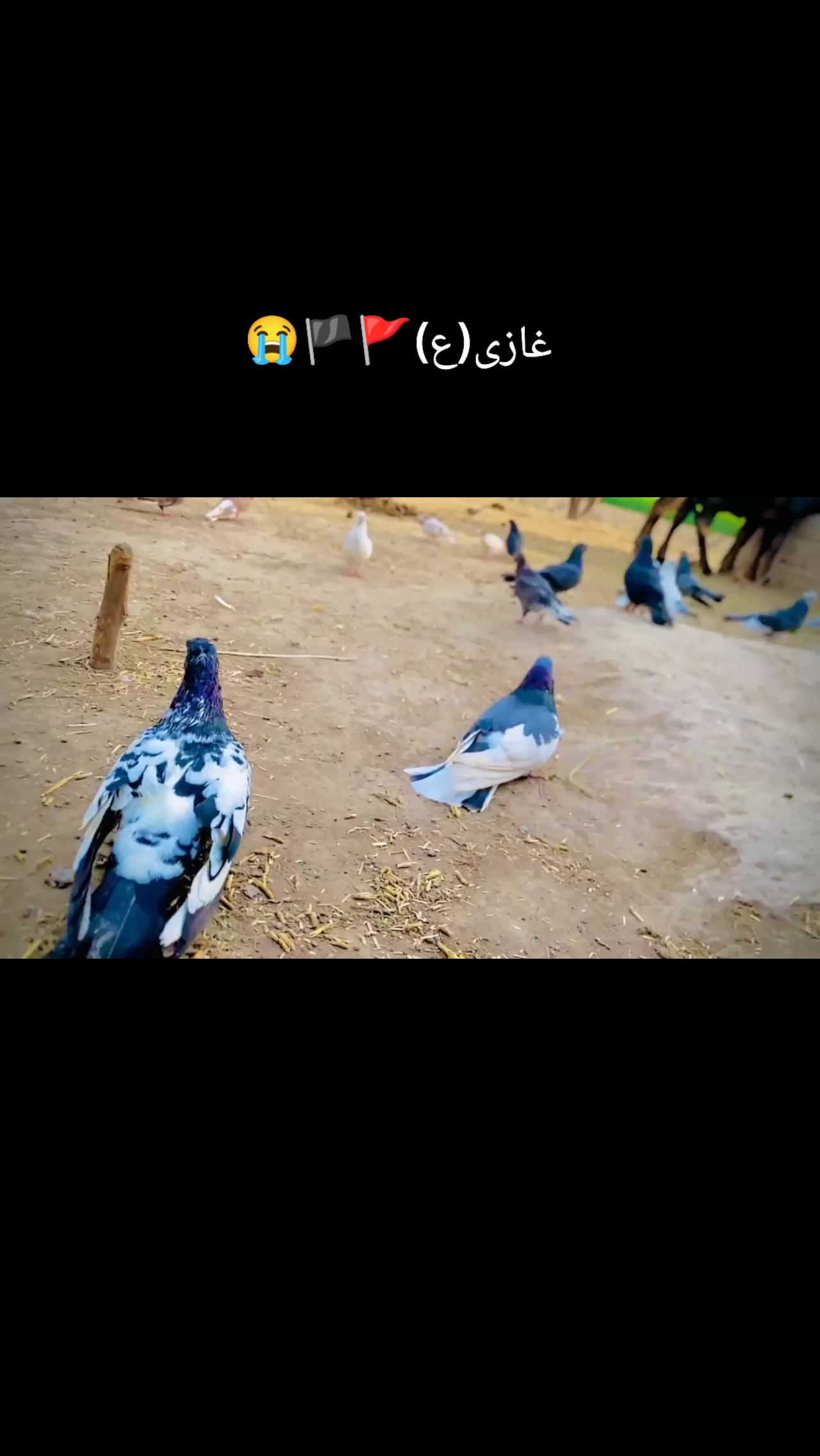 @♥مرتضیٰ سیال🌠