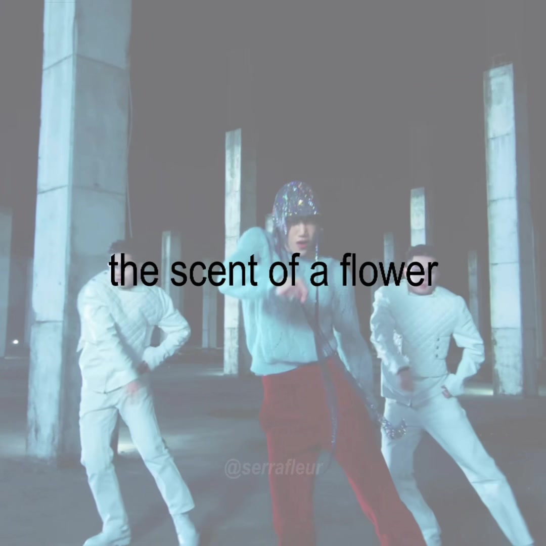 @⋆.𐙚 ̊ fleur