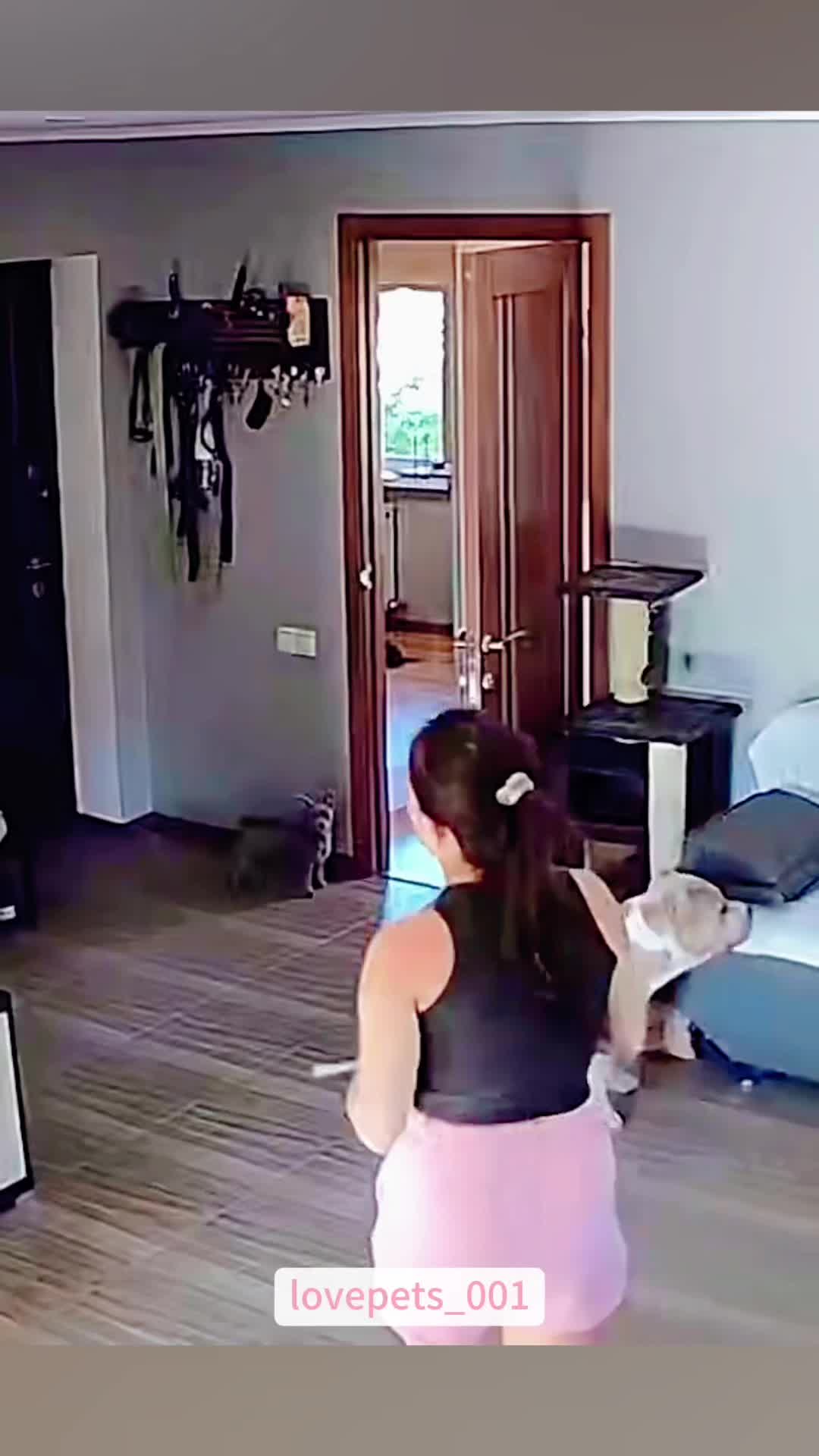 @lovepets_001