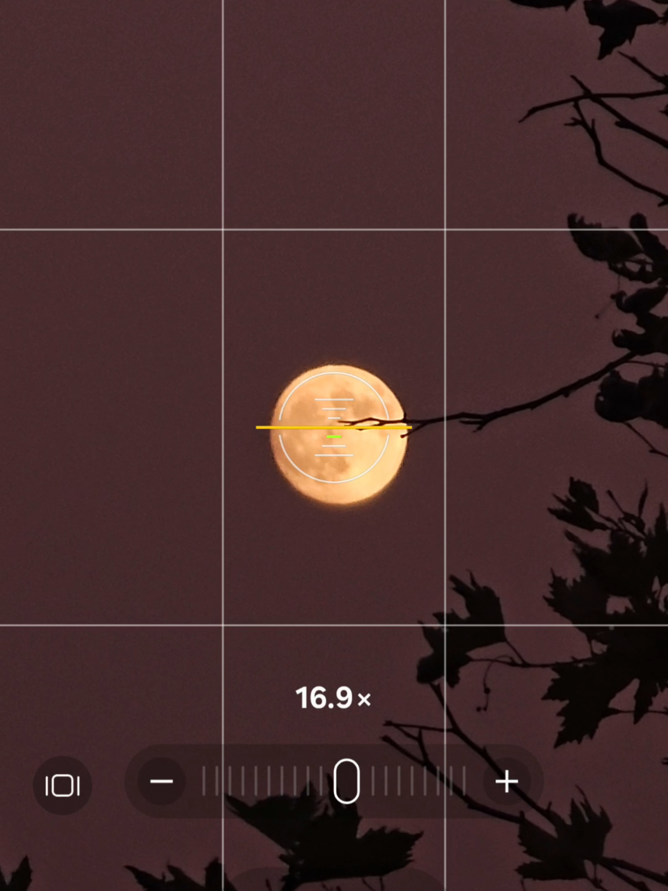 @𝚃𝚘𝚗𝚢𝚌𝚕𝚒𝚌𝚔'𝚂 𝙿𝙾𝚅📱