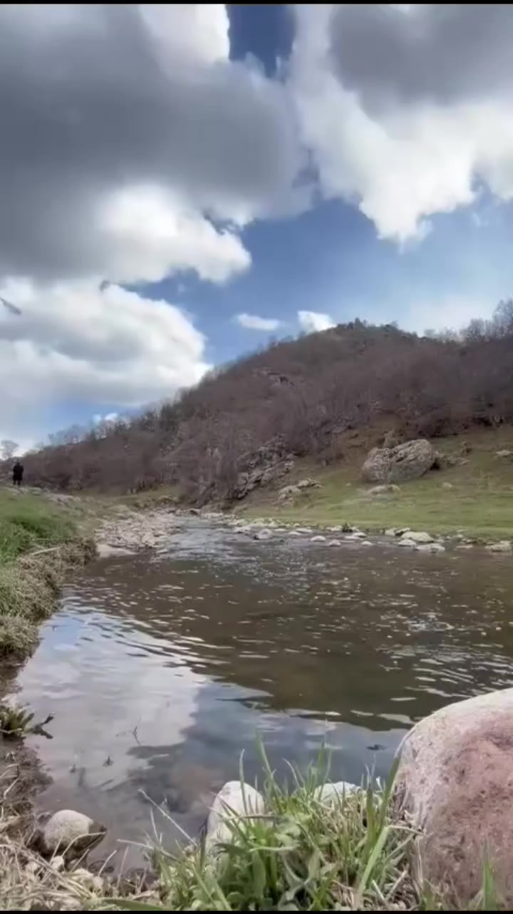 @Basoglu