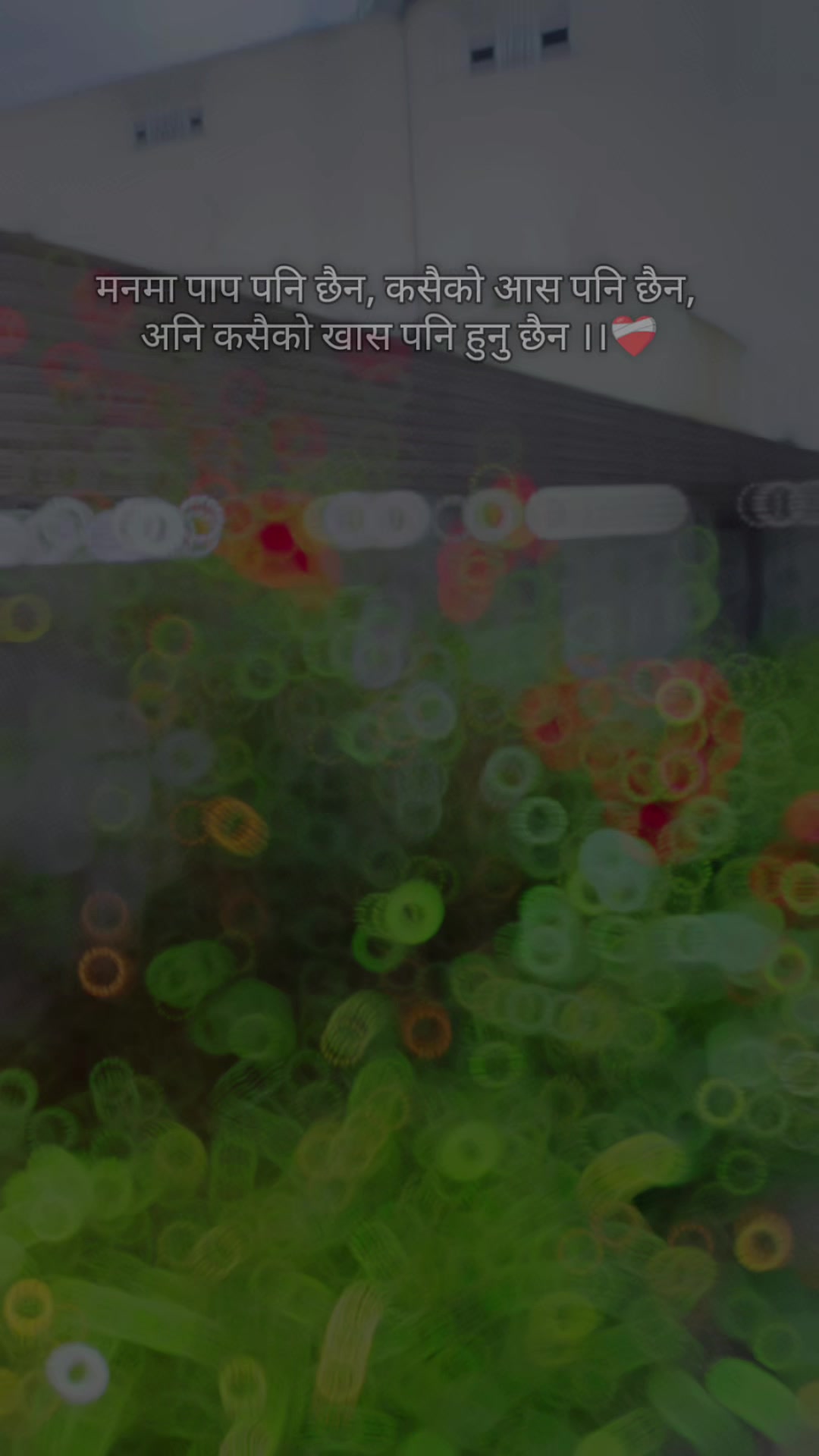 @🦅 Arpit 🔱🕊️