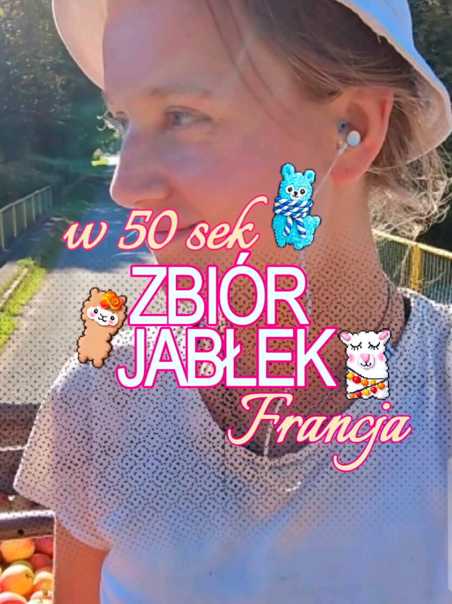 @zadarmochcenie