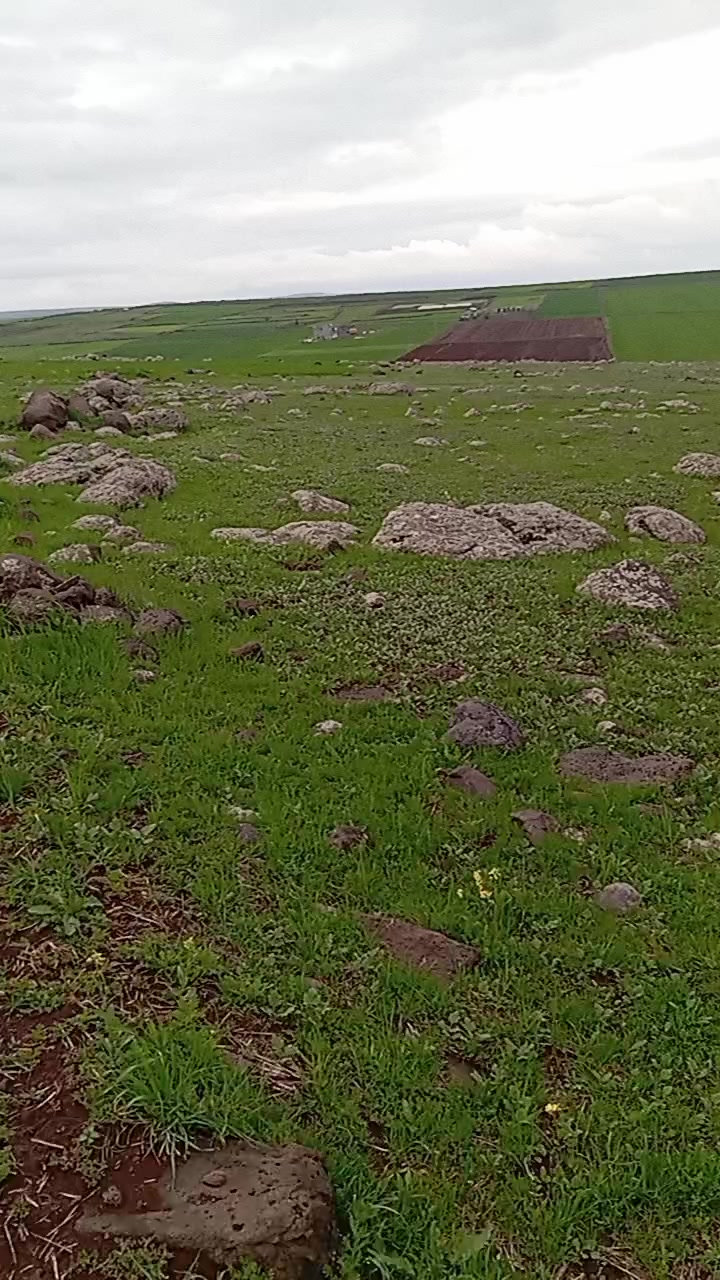 @MEMOLİ 82 21