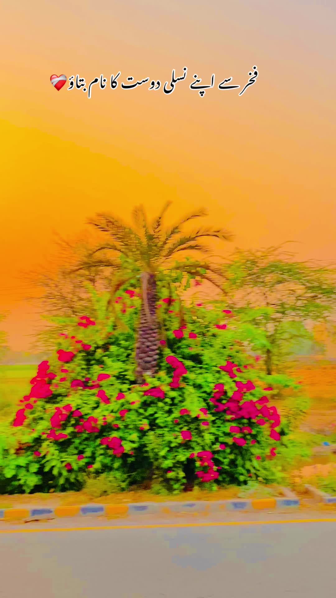 @🥀🪴Waقas 6آلہ🌾🌸
