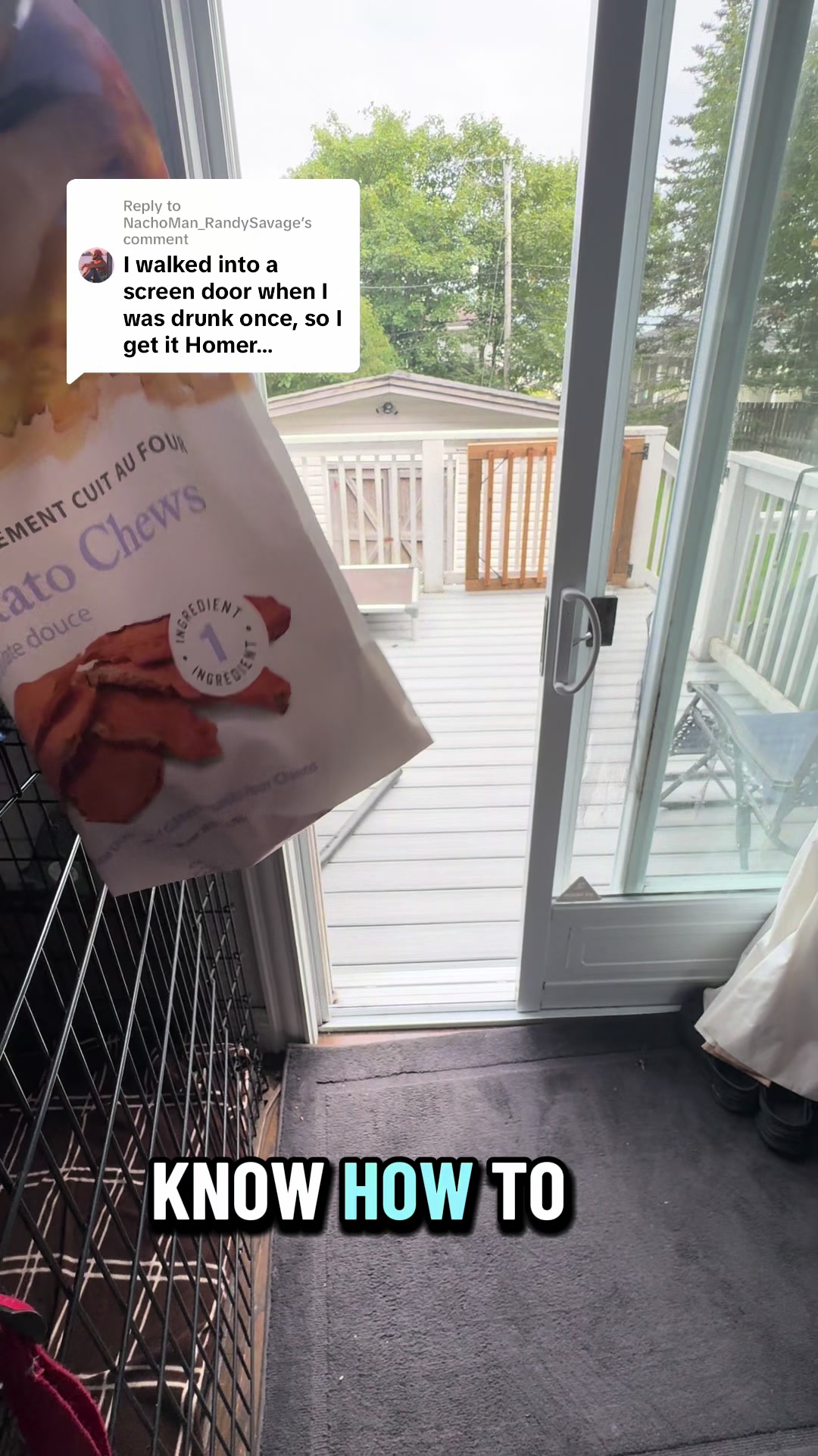 @HomertheNewf 🇨🇦