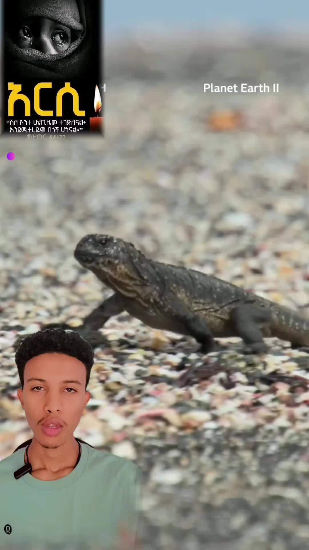 @๐จM๐ฃ.Ñ๐๐จ๐ค¹โถ