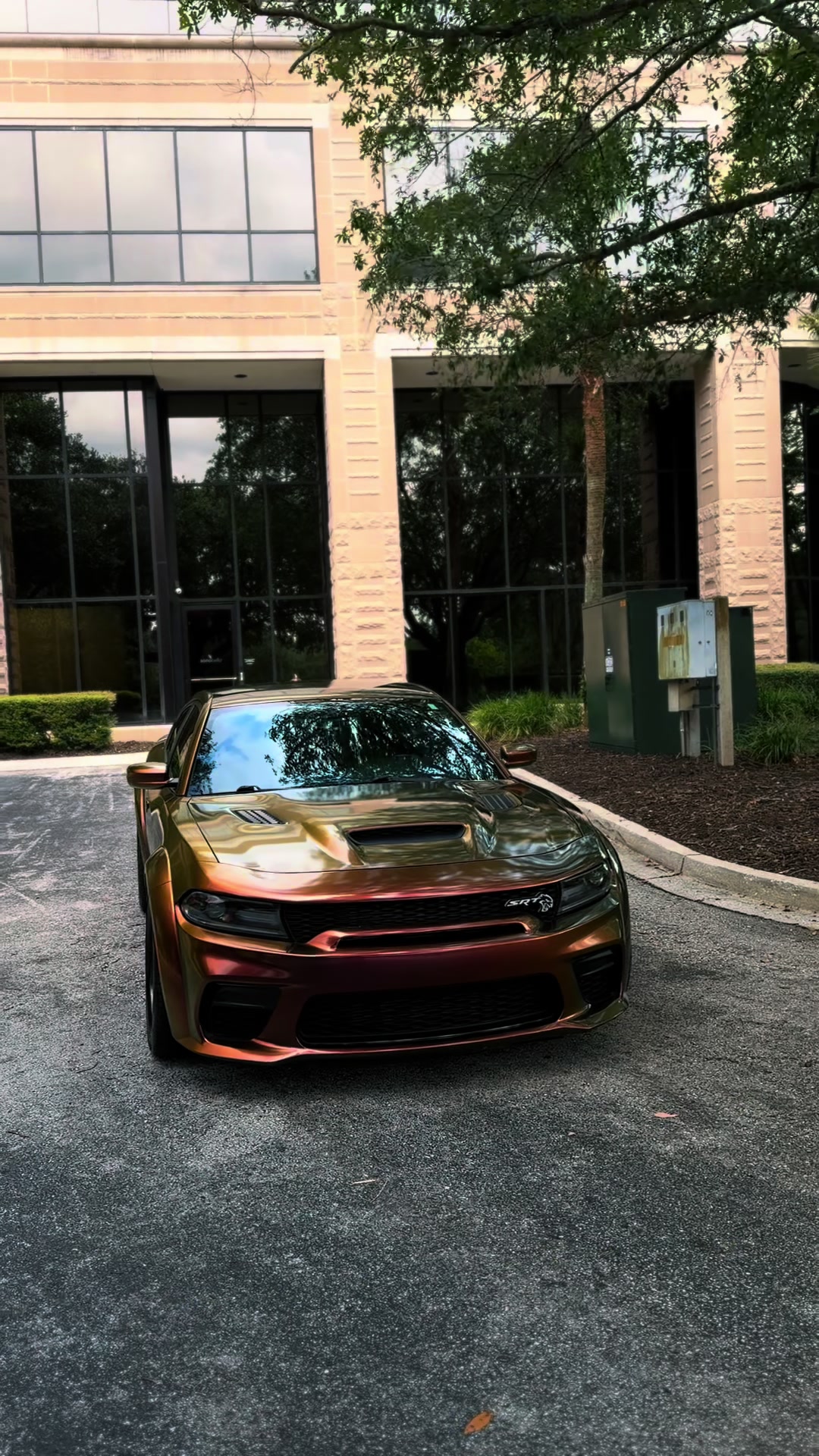 @REDEYE 😈 Hellcat⚡️🌪️