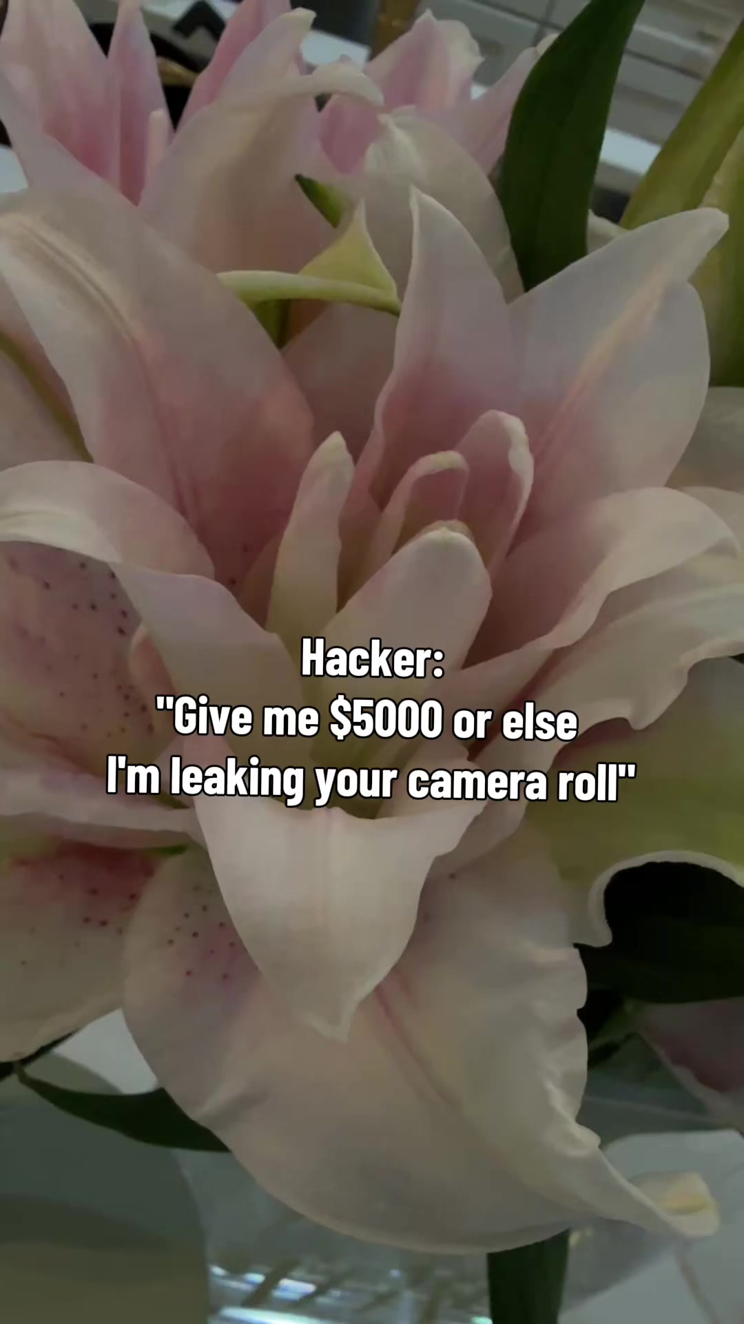 @Jo
