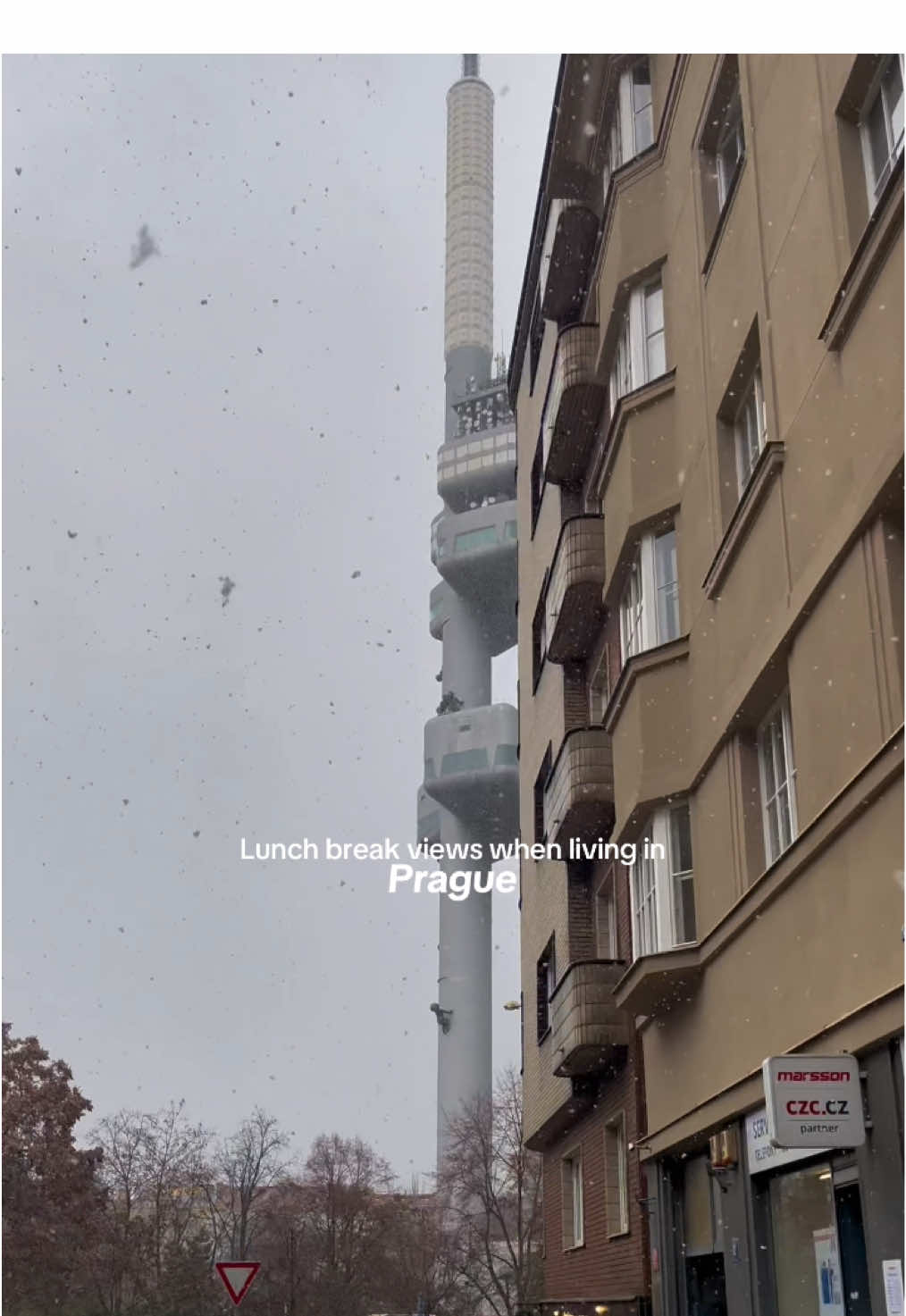 @𝐂 𝐚 𝐭 𝐡 𝐞 𝐫 𝐢 𝐧 𝐞