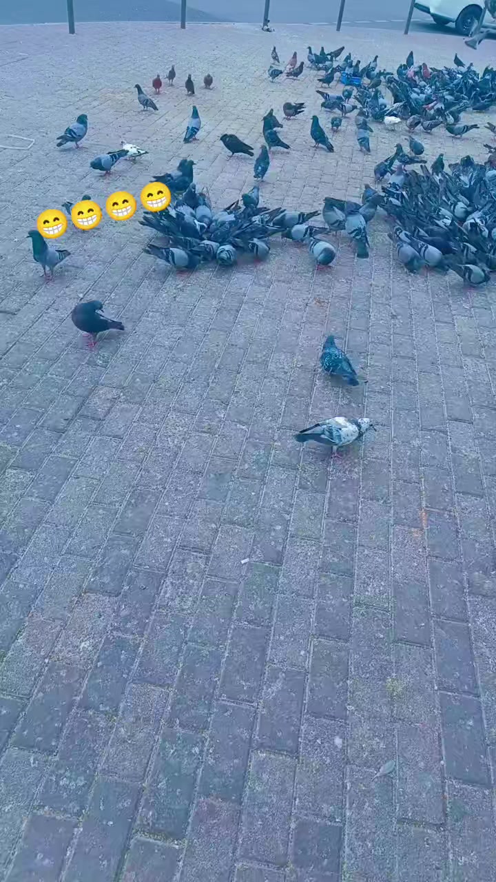 @hayat ullah