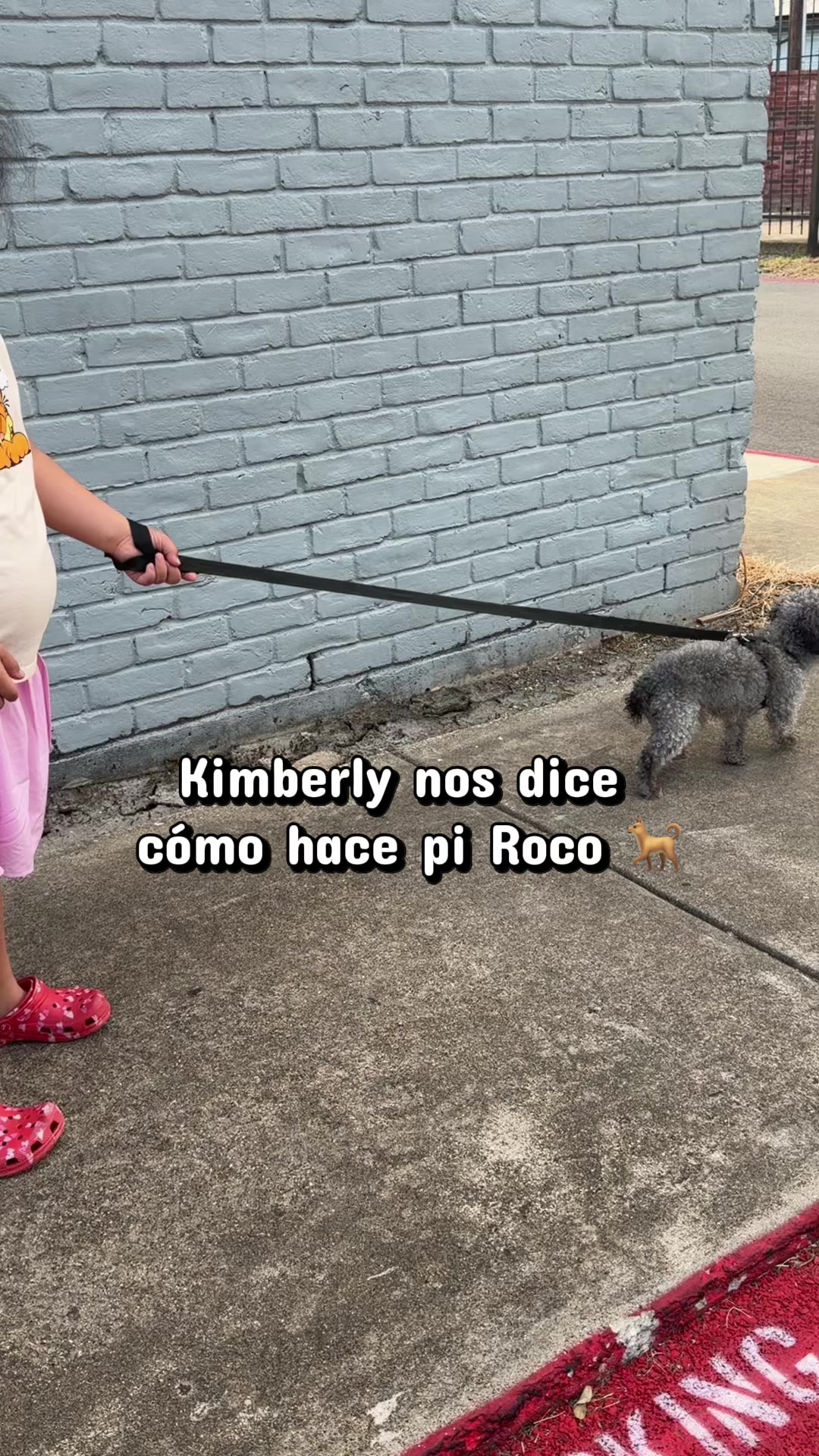 @Kimberly Albino