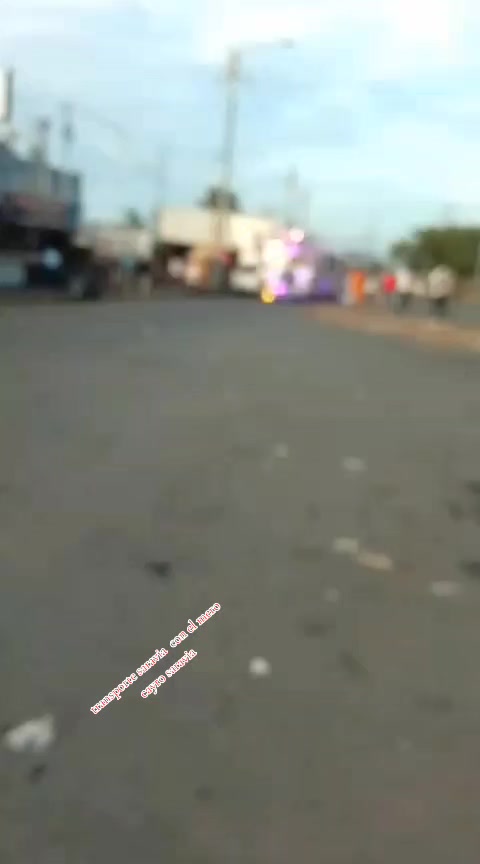 @el venado 505
