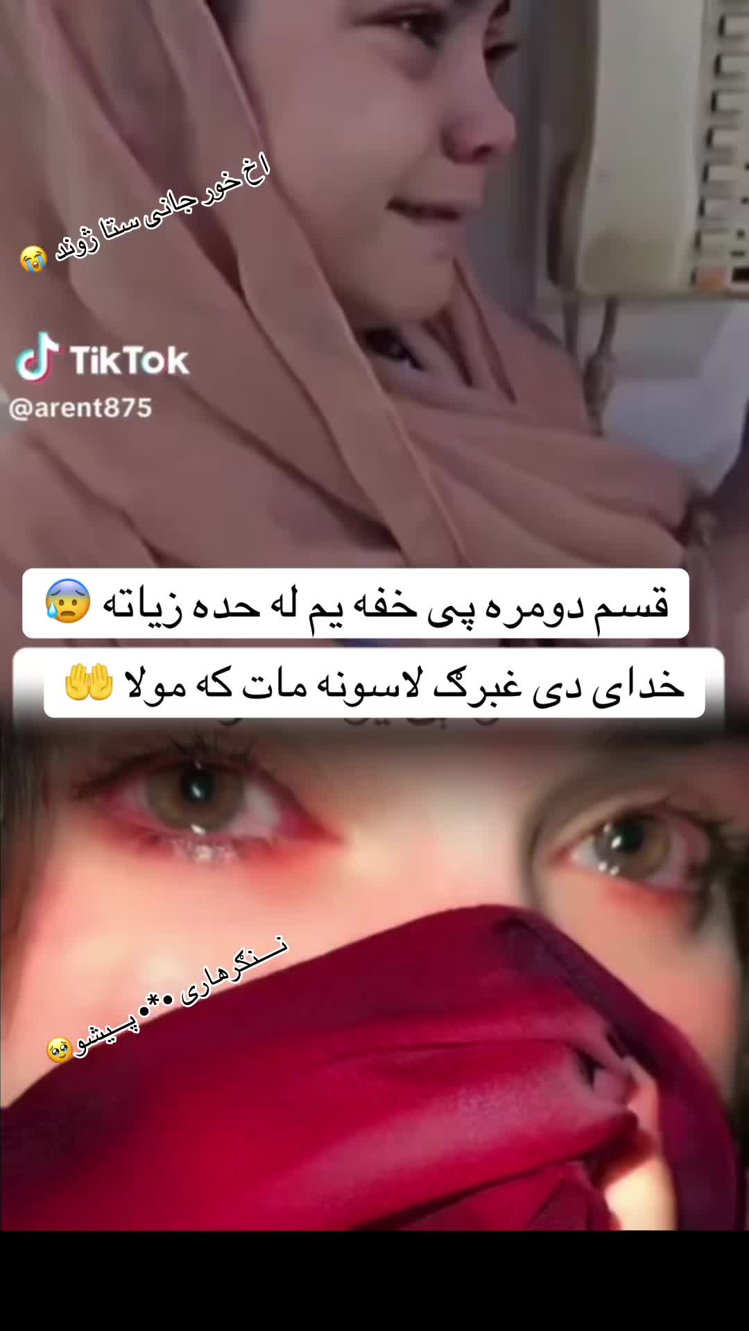 @ننګرهاری ☆♡☆ پیشو ☆♡☆