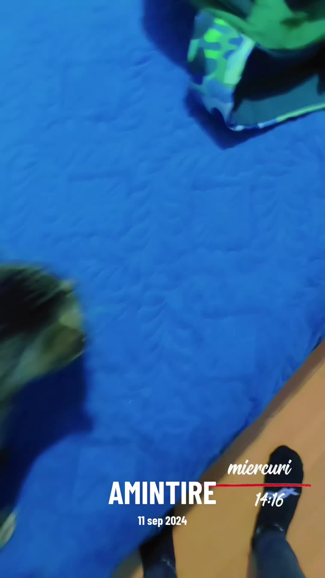 @๐ช๐ด๐๐๐๐โ๏ธ๐ฉ๐๐๐๐๐๐๐
