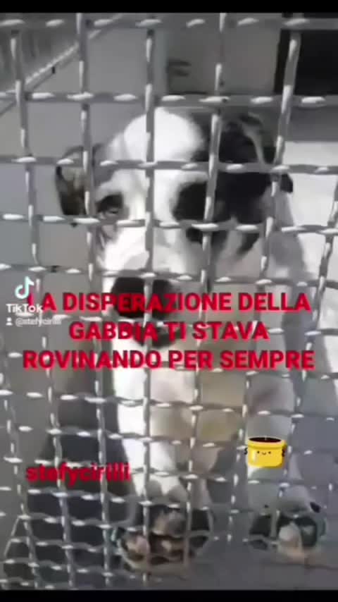 @Stefy Cirilli