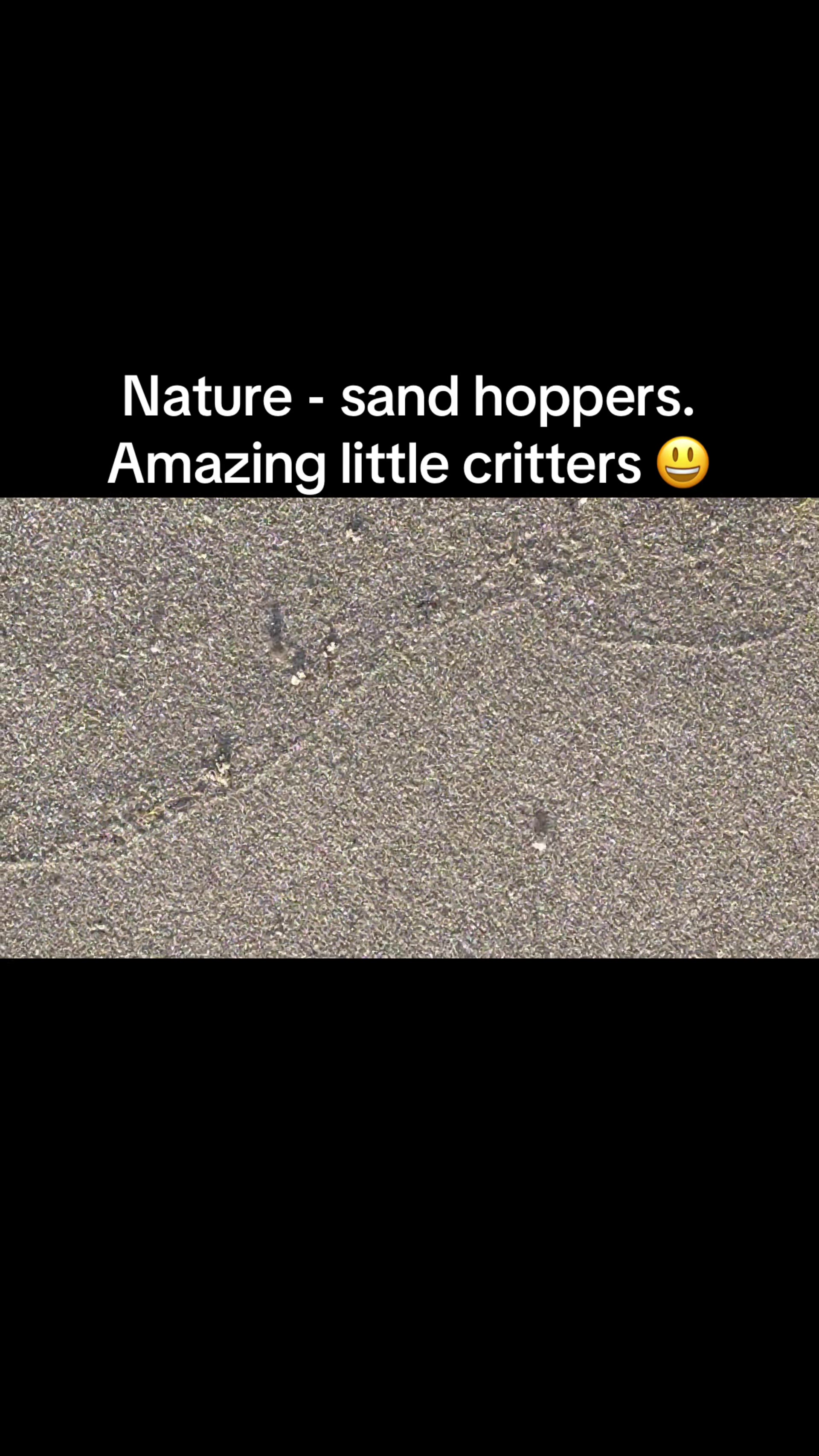 @Notyouraveragegranny