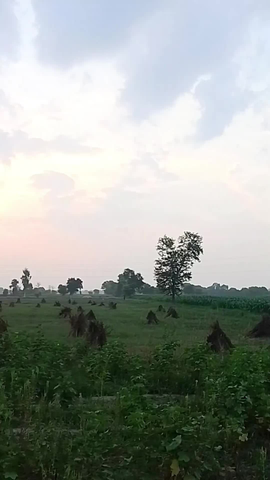 @𝗩 𝗶 𝘃 𝗲𝗼𝗻 🐍