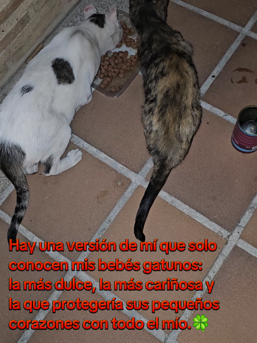 @garritasespaciales