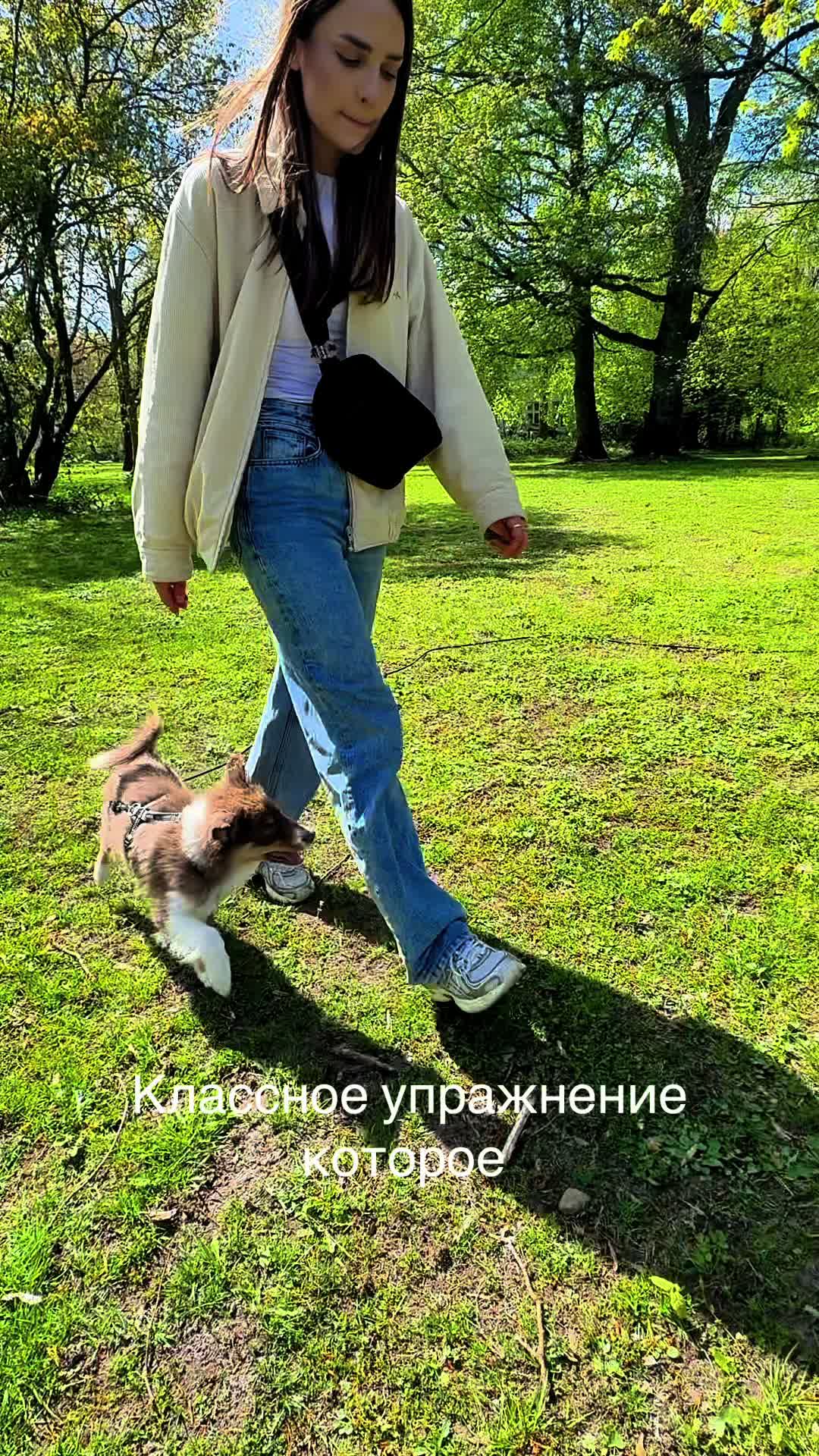 @❤️🐶Elena & Hundewelt🐶❤️