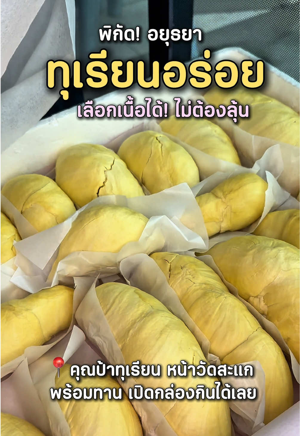 @อยุธยาวนไป✨