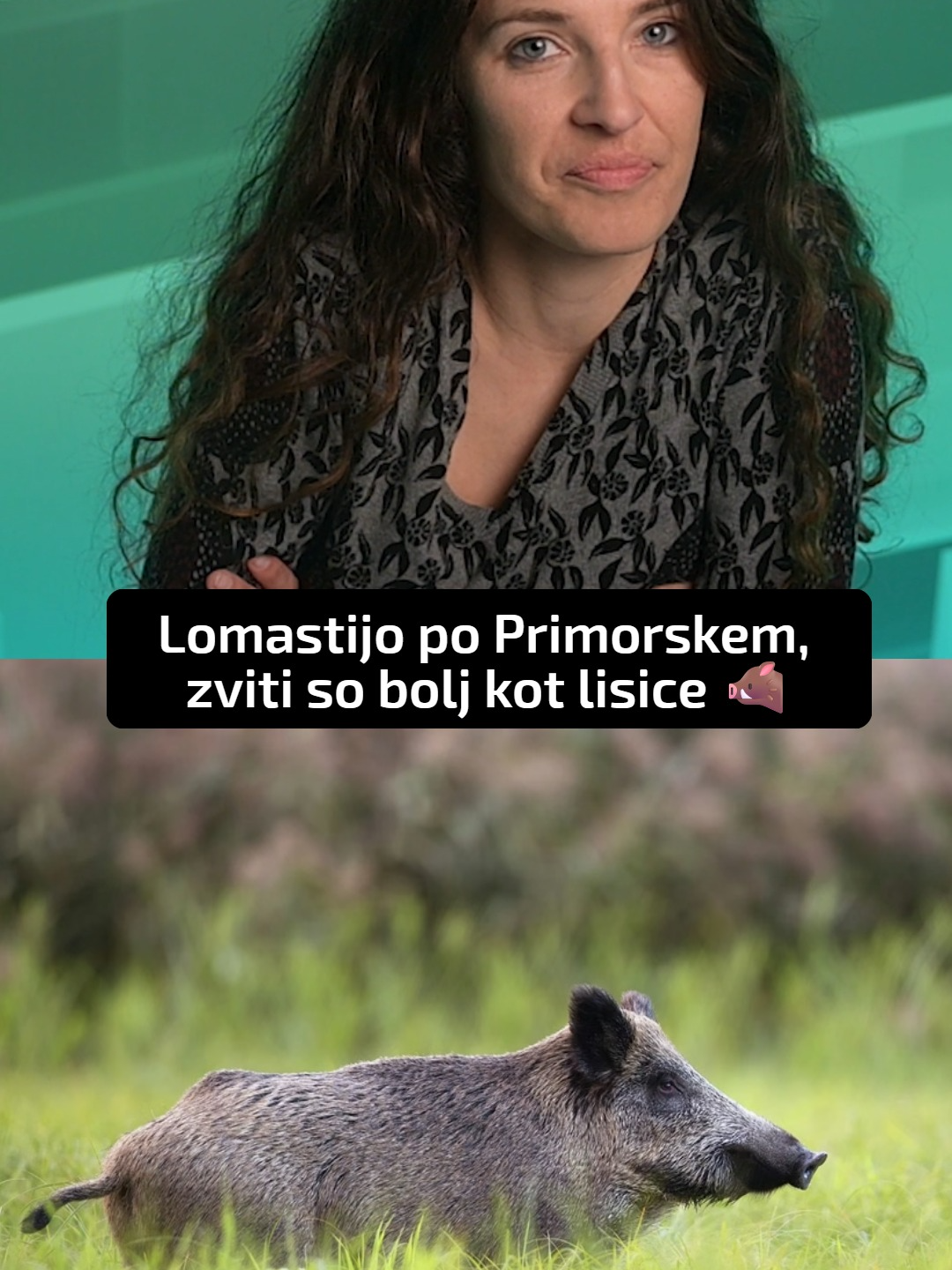@N1 Slovenija