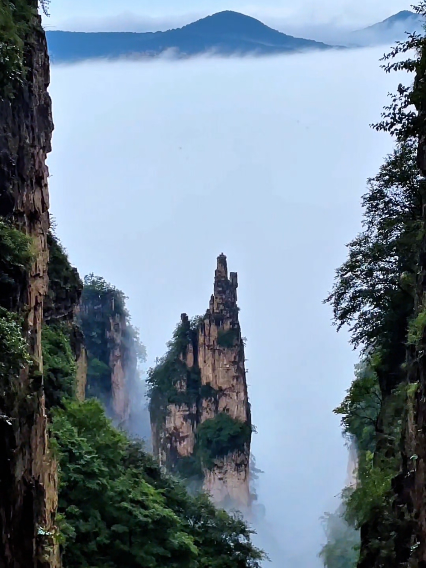 @NatureVibes0