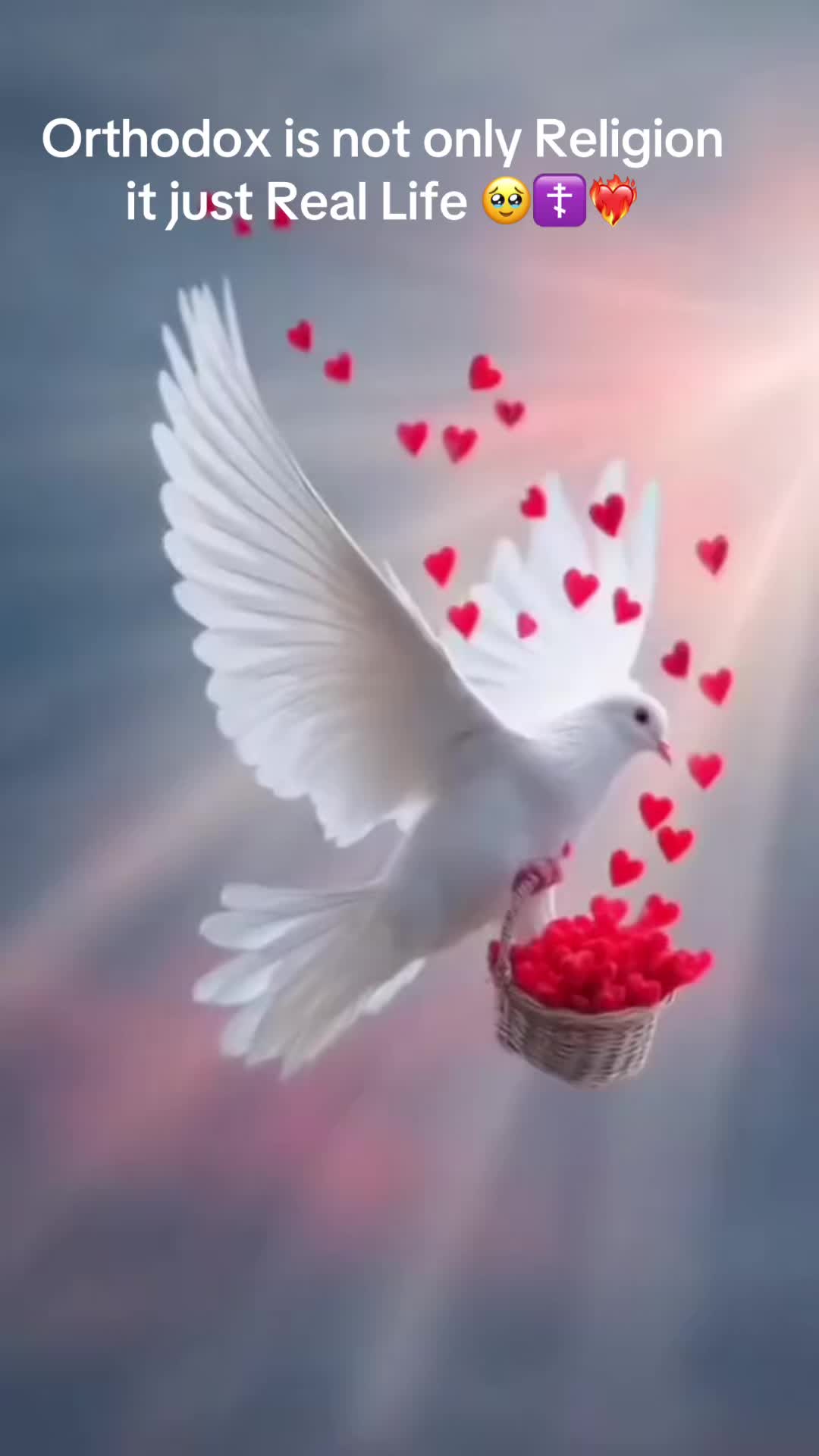 @i.have.a.dream40