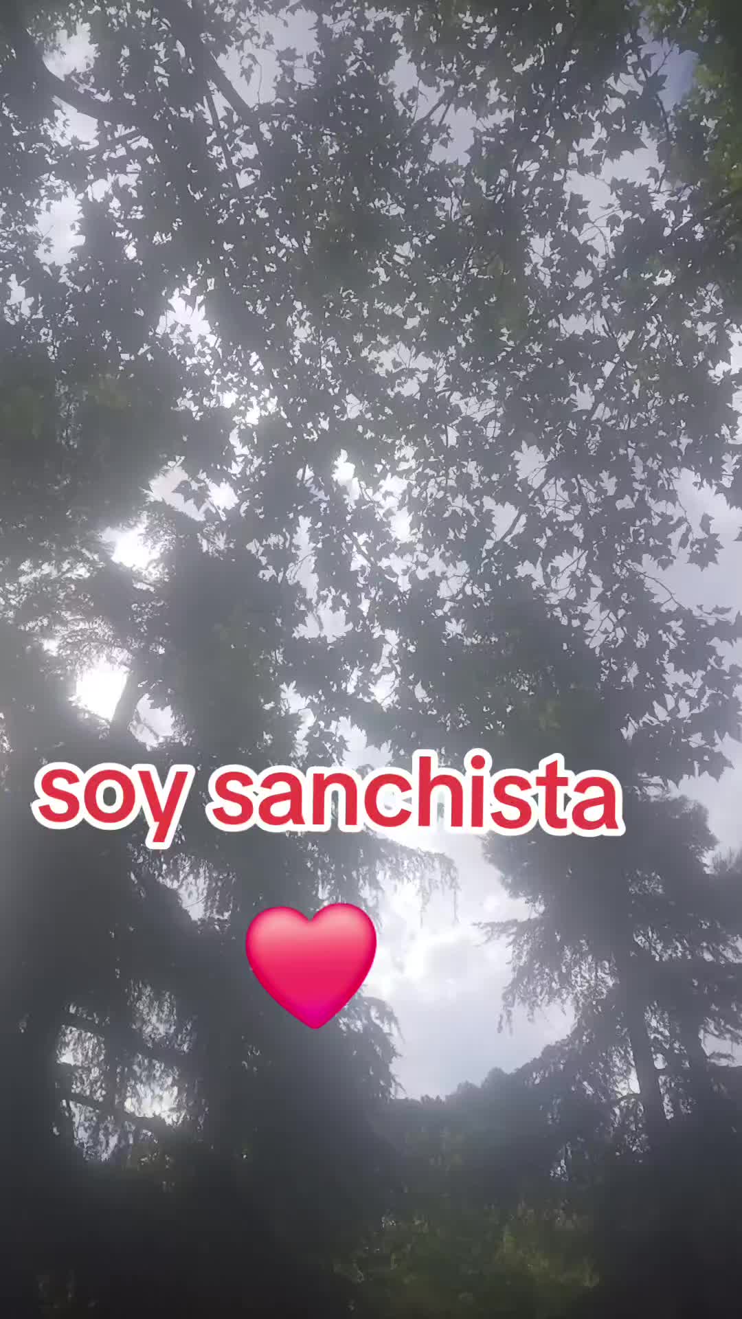 @lapiz rojo