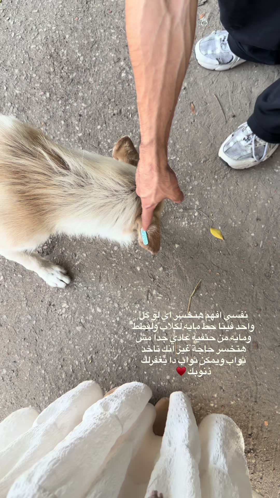 @Donia bahrawy ๐งฟ