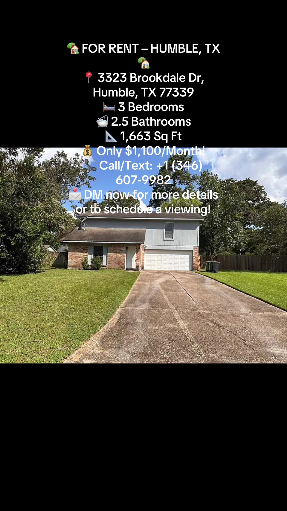 @lowbudget house rent