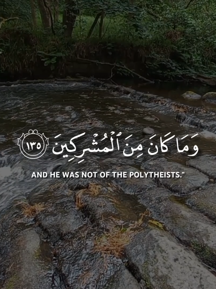 @quranrecitations_57𓂆🇵🇸