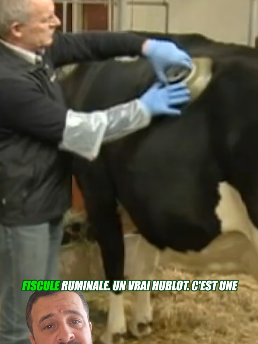 @Vico-Le Savais tu ?