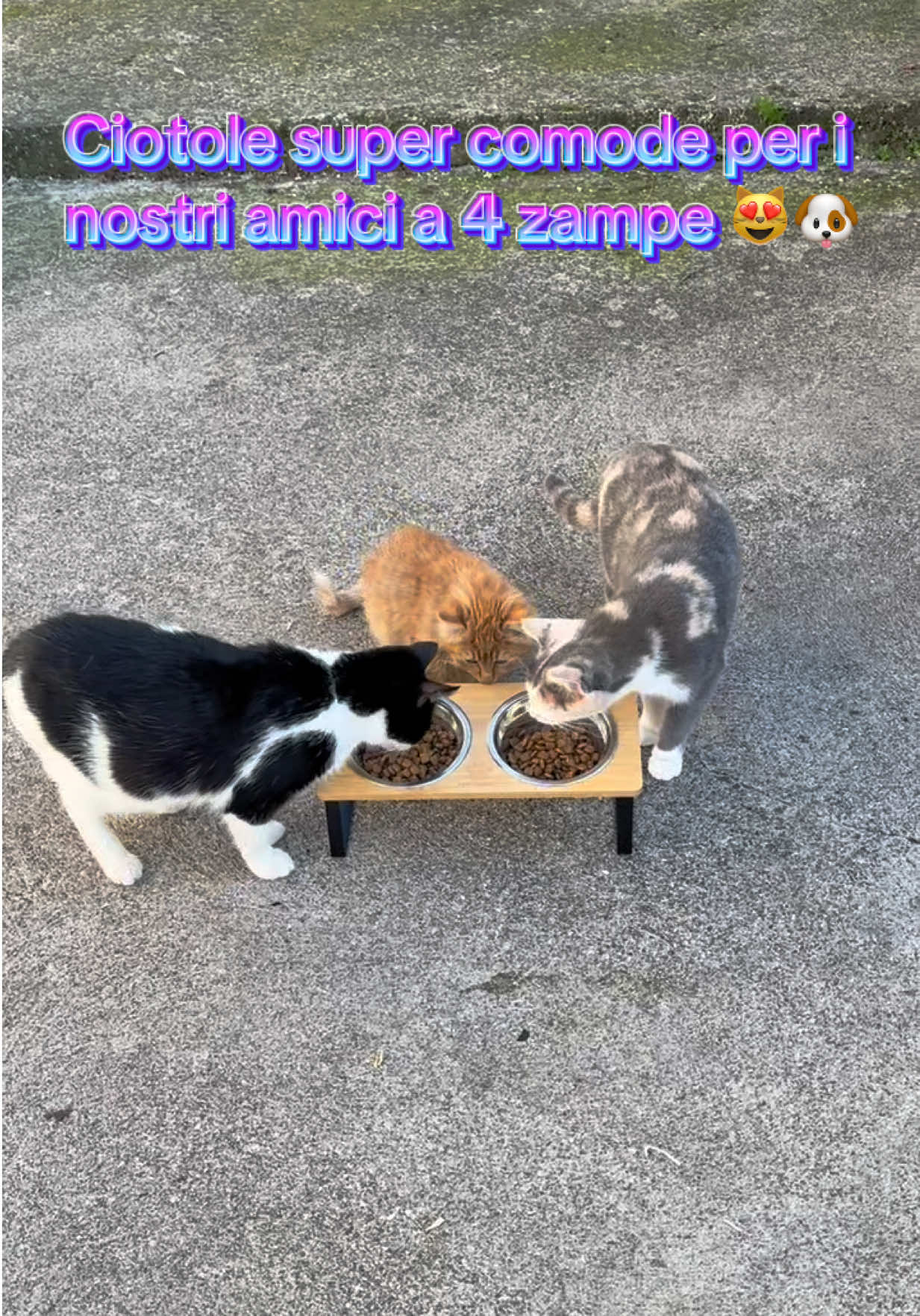 @Cristina Masotti