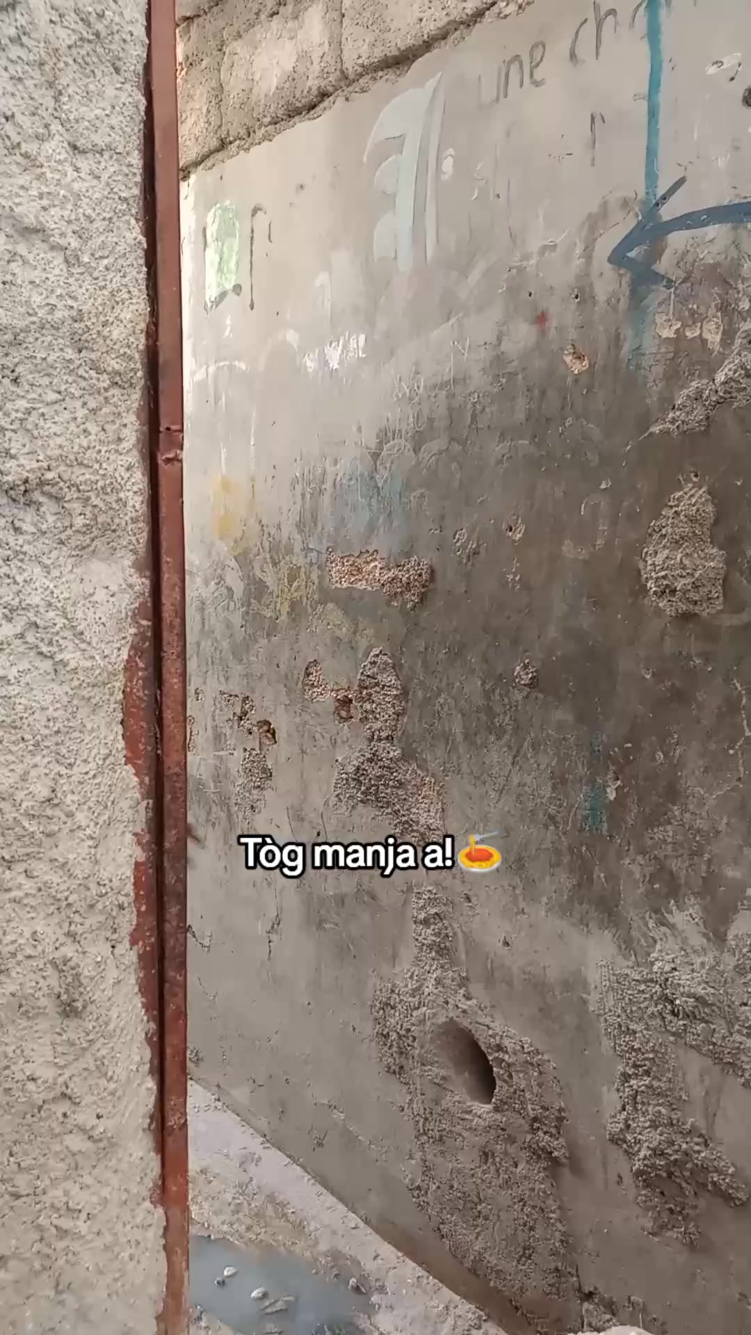 @😎😡@Jacken801🥱Tòg manje A!🍝