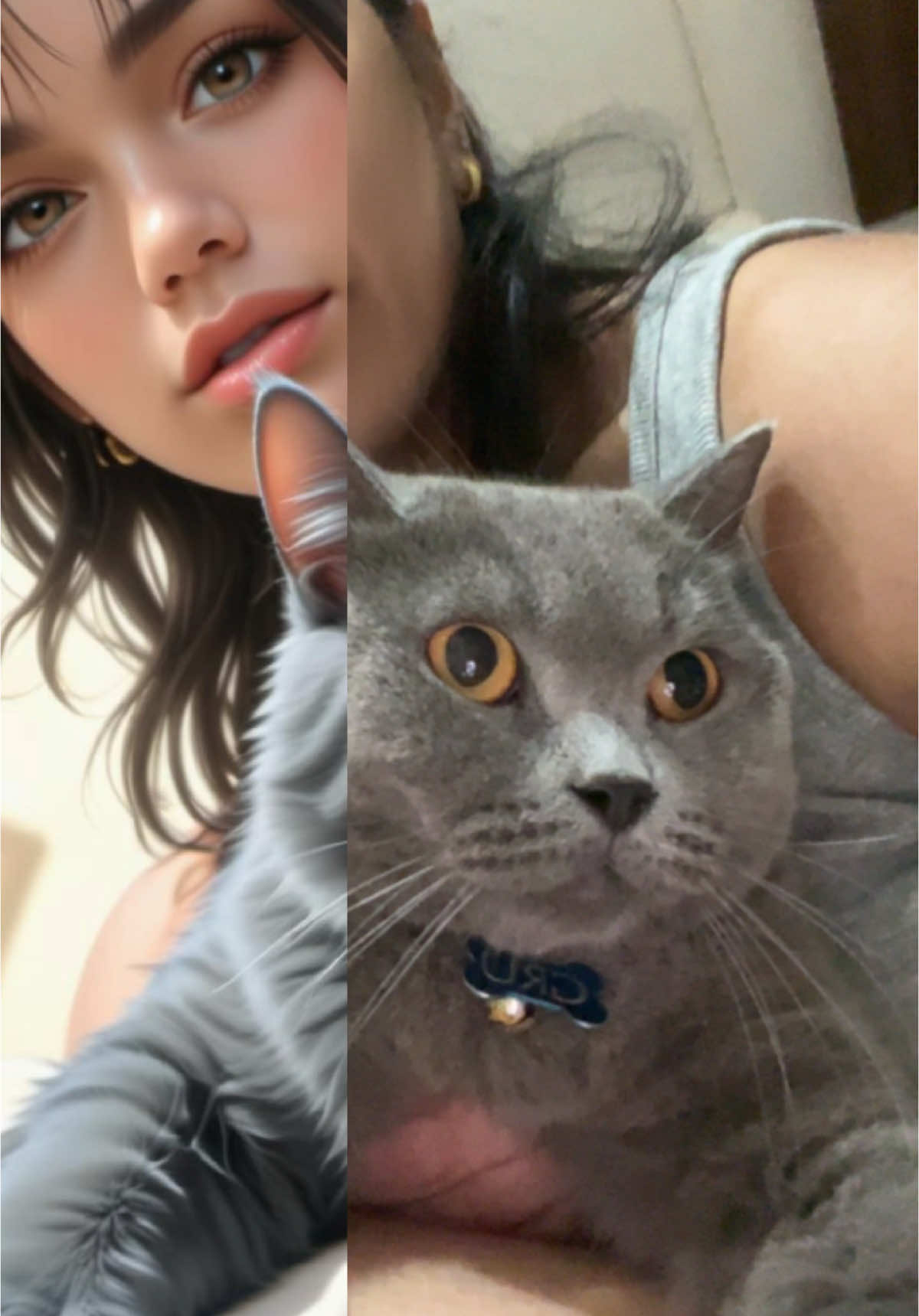 @BecauseCats