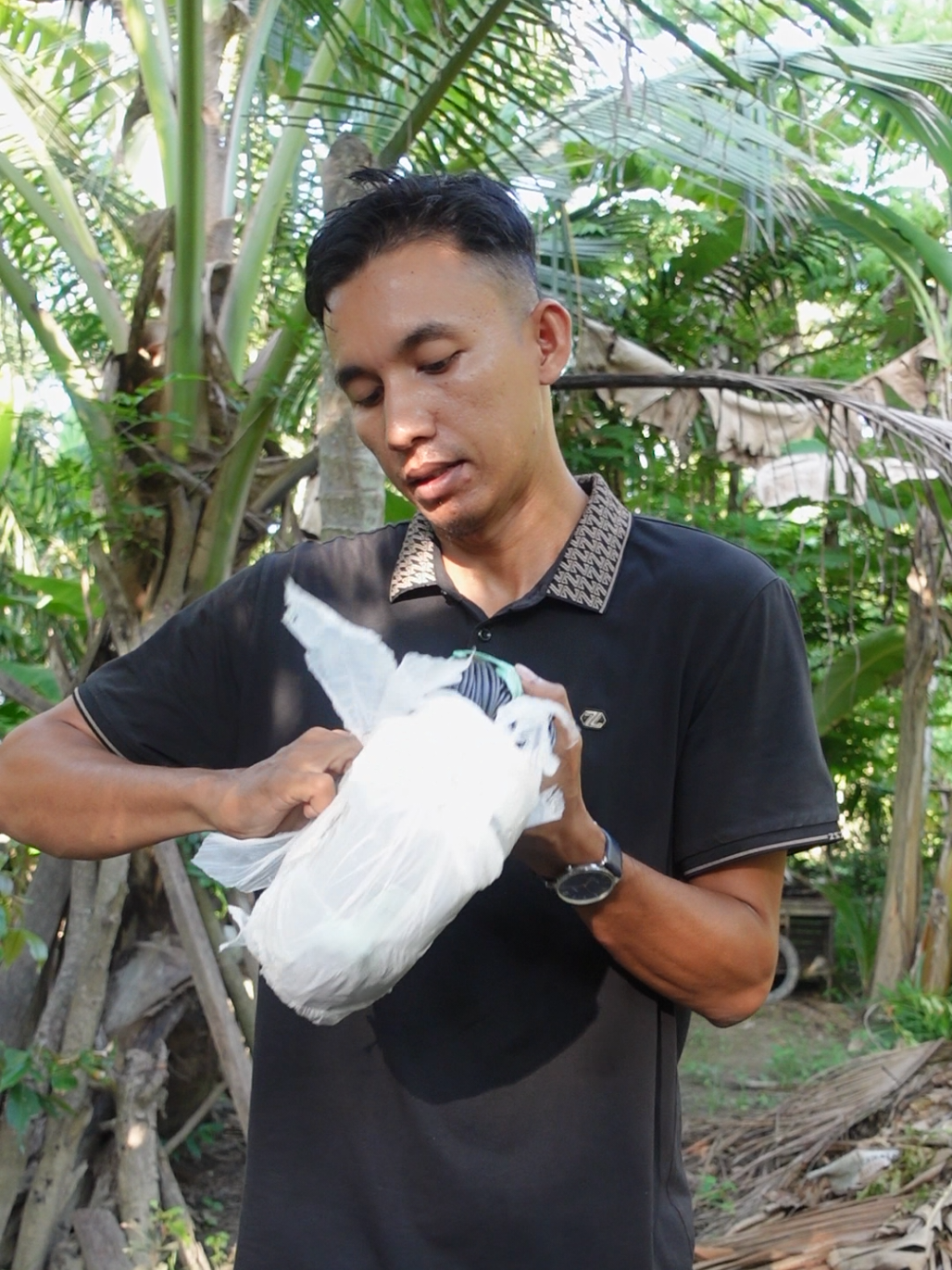 @Akar Serabut