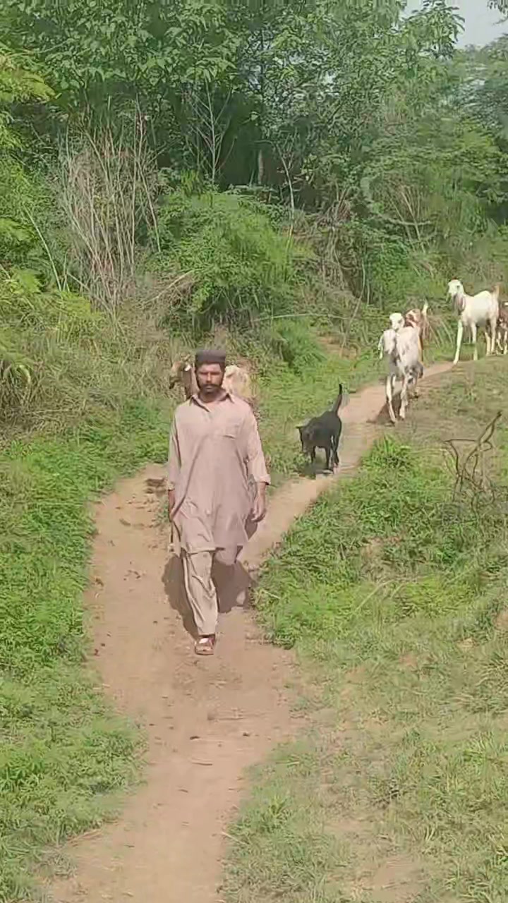 @Raja Usman Baisa