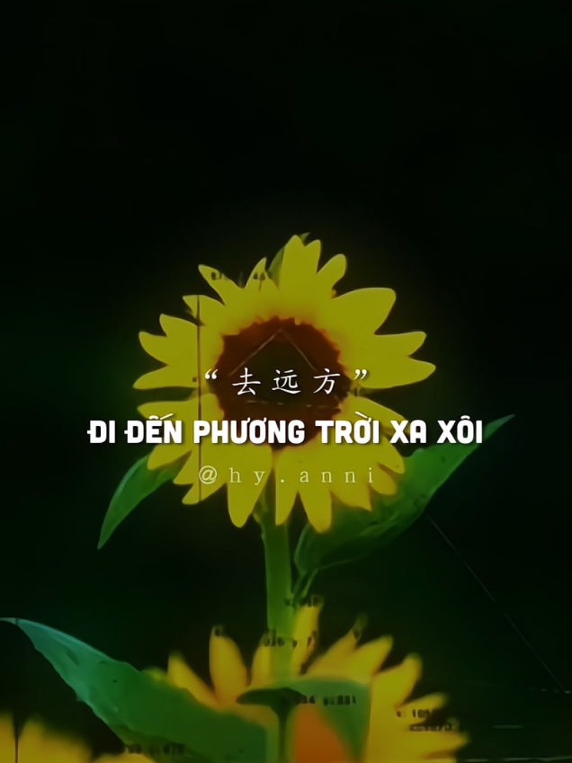 @𝗬𝗶𝗻𝗴𝗬𝗼𝘂𝗻𝗴